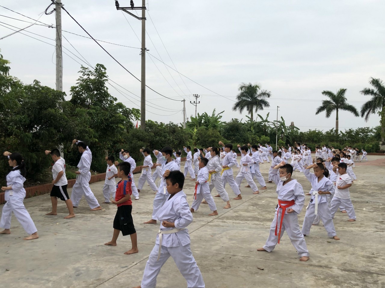 CLB Karatedo Phường Tân Hưng