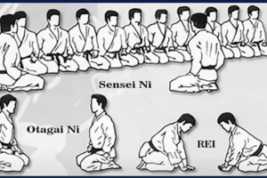Tên gọi và cách thực hiện chào quỳ, lễ trong võ đạo KarateDo
