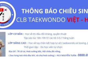 Học Võ Taekwondo Ở Hải Châu - CLB Taekwondo Việt Hàn
