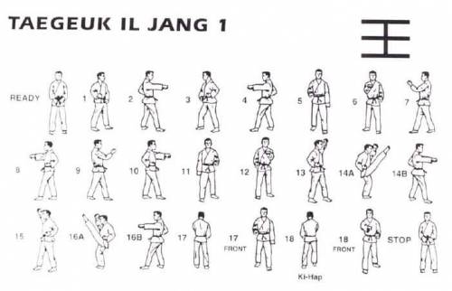 Taekwondo Form 1 (Taegeuk Il Jang) hướng dẫn thực hiện
