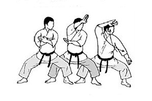 Đòn này trong karate gọi là gì?