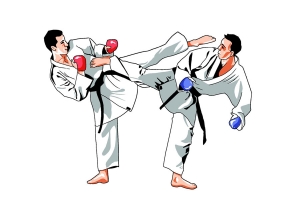 Tìm hiểu về Karate, không nên quá ảo tưởng về võ thuật