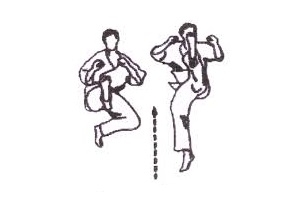 Đòn đá bay phân tiếp súc là ức bàn chân, trong karate gọi là gì?