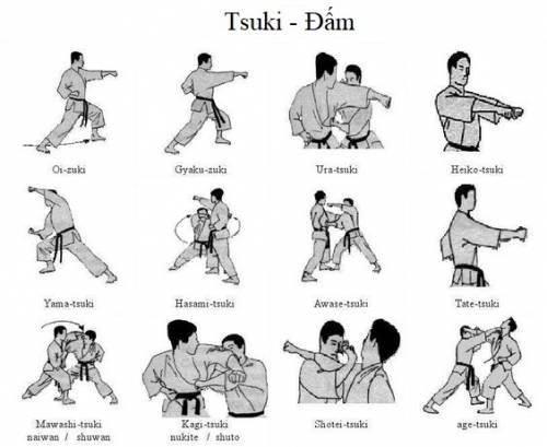 Tsuki Là Đòn Đấm - Thuật Ngữ Karate